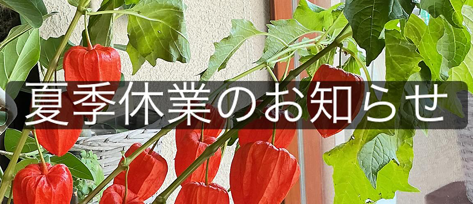 鬼灯(ホオズキ) ナス科の多年草 お盆には仏前にお供え