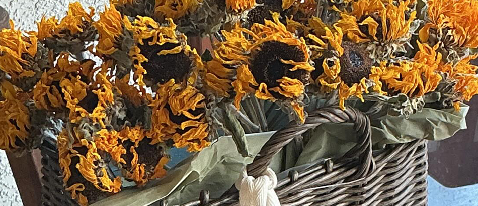 ひまわりのドライフラワー