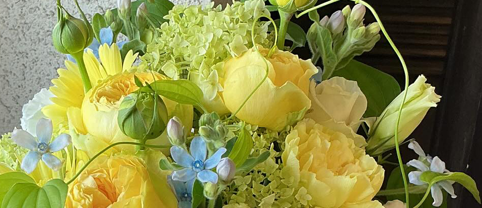 お母さまから娘さんへ